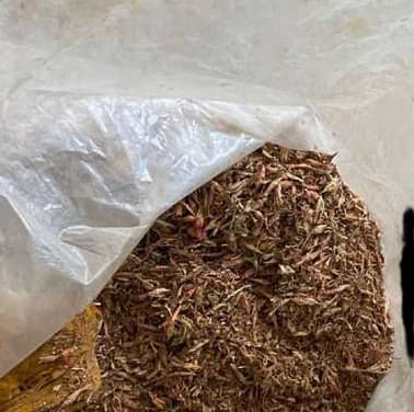 Dried plant material for natural dye in a plastic bag.